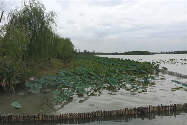 仙山湖风景